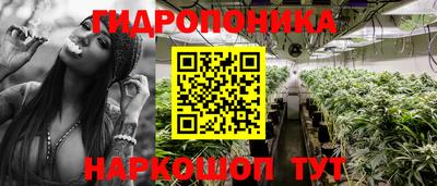 mix Бердск